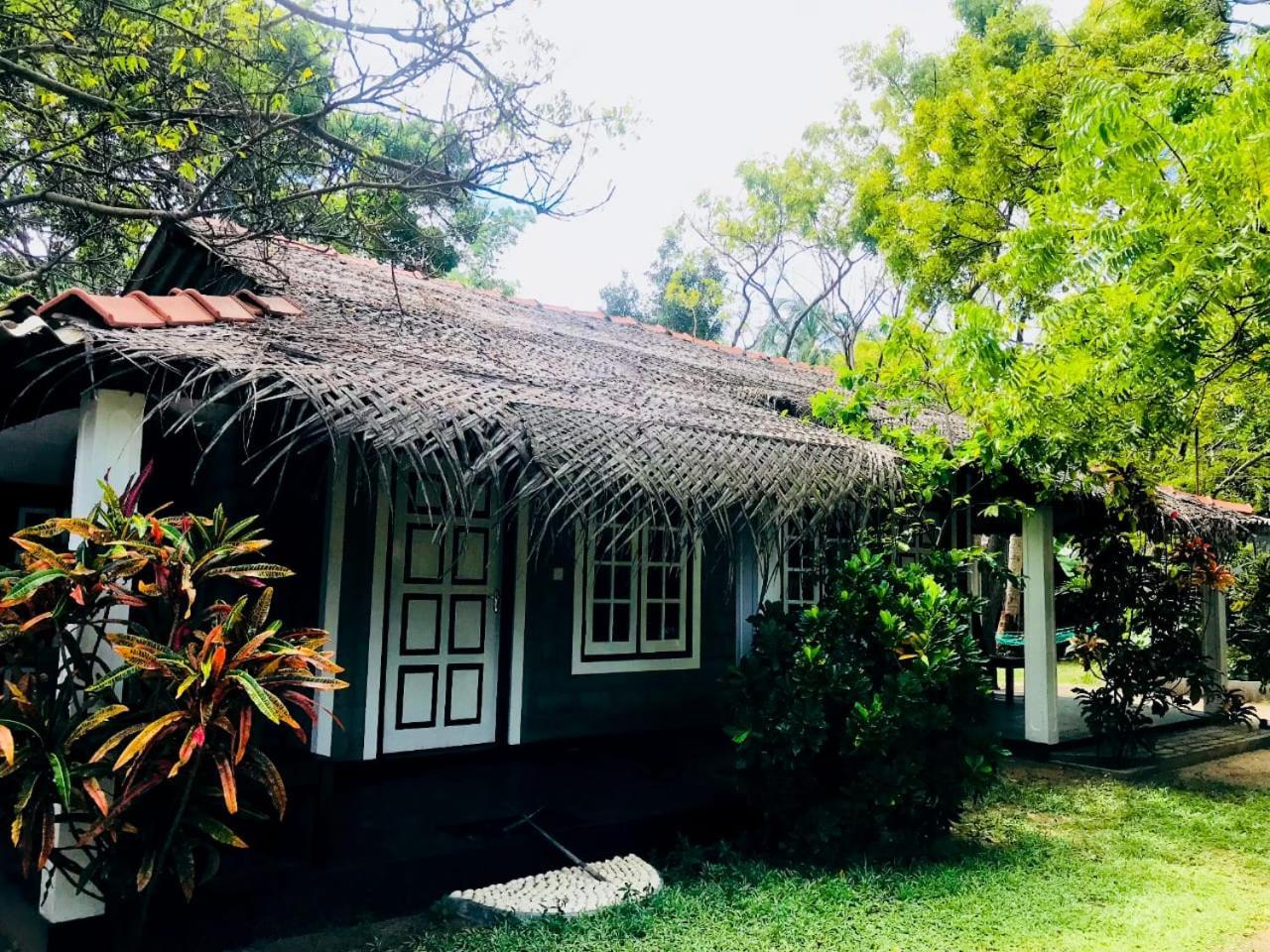 كالبيتيا Werala Beach Resort المظهر الخارجي الصورة