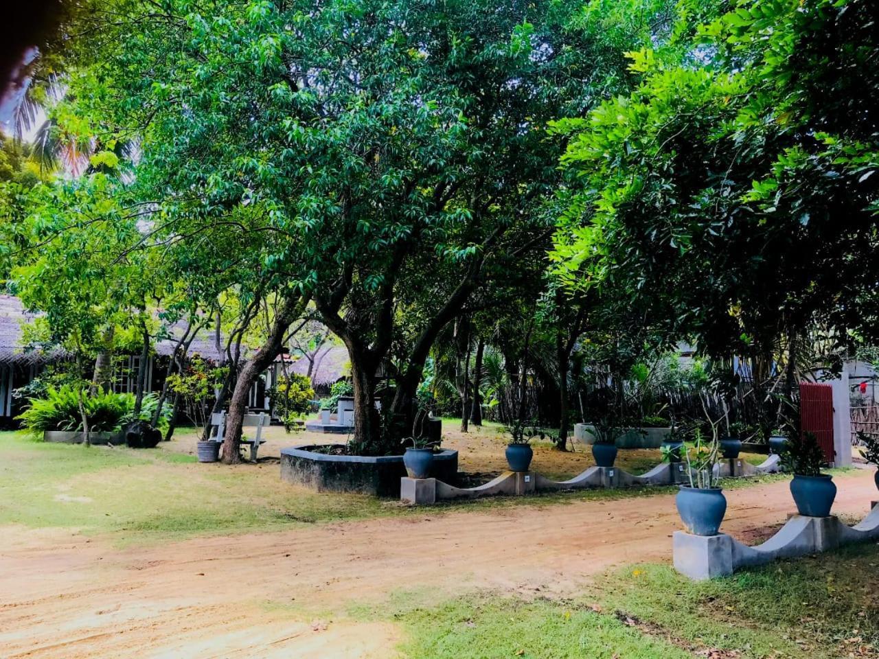 كالبيتيا Werala Beach Resort المظهر الخارجي الصورة