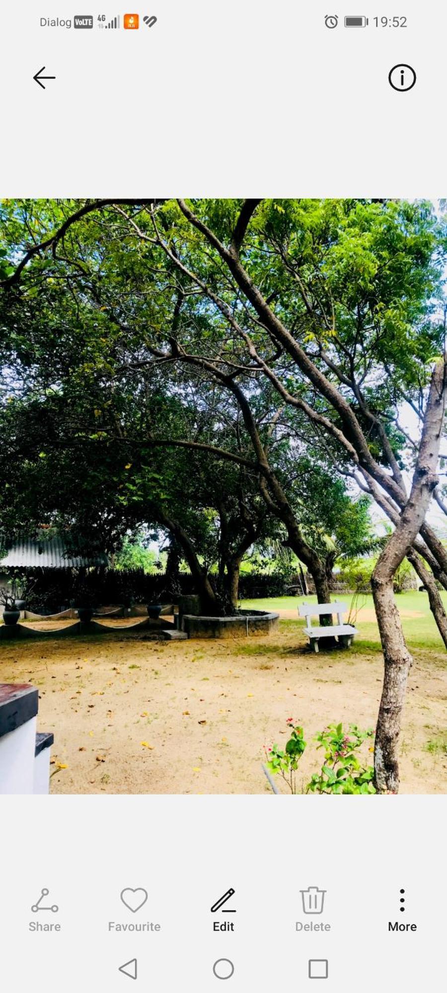 كالبيتيا Werala Beach Resort المظهر الخارجي الصورة