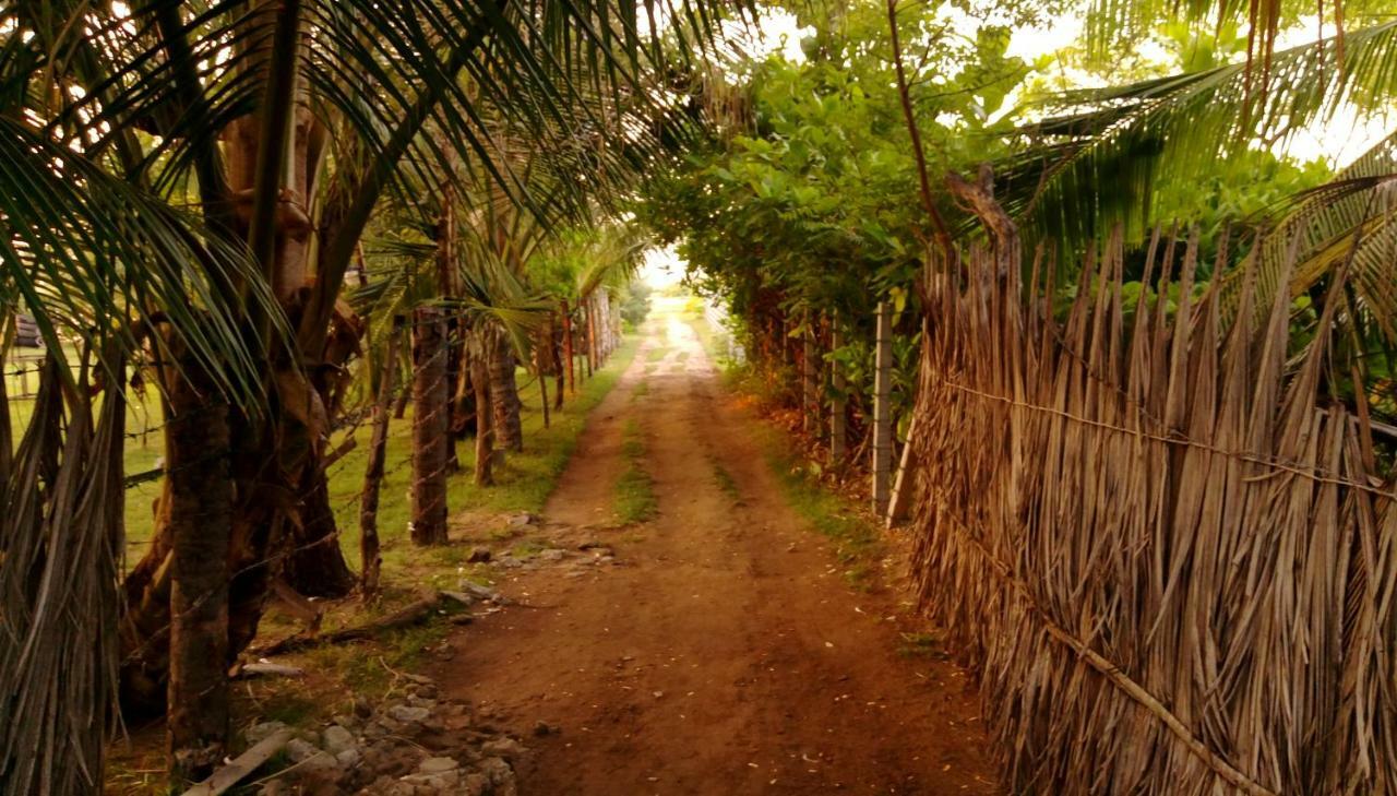 كالبيتيا Werala Beach Resort المظهر الخارجي الصورة